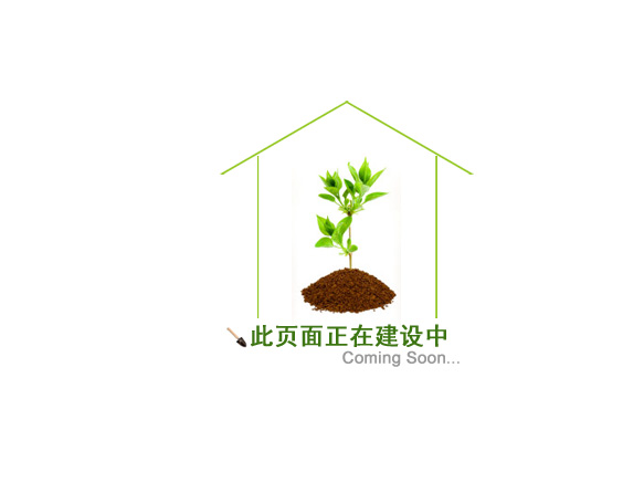 正在建设中